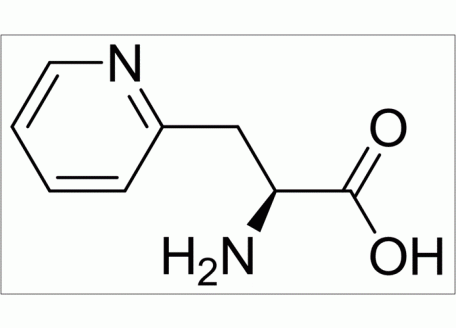 P816740-5g 3-(2-吡啶基)-L-丙氨酸,98%