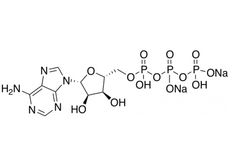 A6363-100g 5’-腺苷三磷酸二钠盐,99% 生物技术级