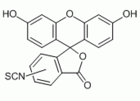 F809567-25g 异硫氰酸荧光素,96%,5-和6-异构体混合物