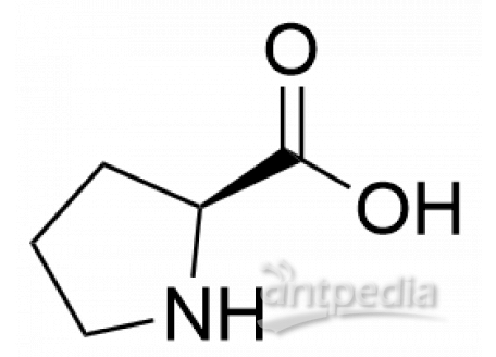 L823475-100mg L-脯氨酸,分析对照品