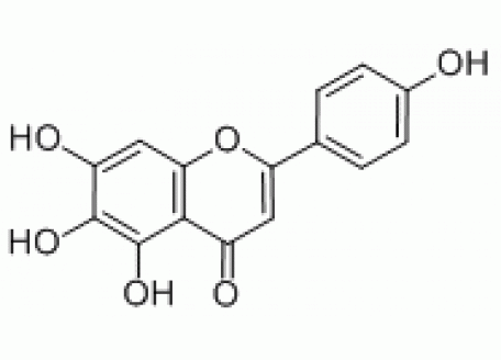 S823503-20mg 野黄芩素,分析对照品,98%