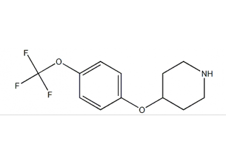 T831876-250mg 4-[4-(三氟甲氧基)苯氧基]哌啶,98%