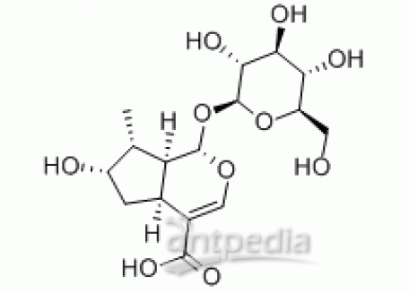 L823642-20mg 马钱苷酸,分析对照品,98%