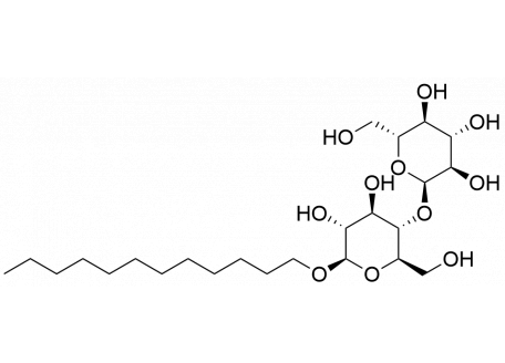 D806359-1g 十二烷基-β-D-麦芽糖苷,99%