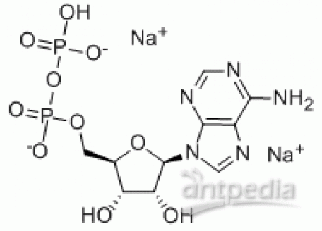 A6080-500g 5’-腺苷二磷酸二钠盐,98% 生物技术级