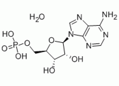 A6088-25g 5’-腺苷单磷酸一水合物,99%生物技术级