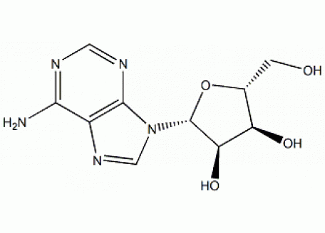 A6218-25g 腺苷,99%生物技术级
