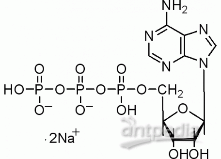 A800085-100g 腺苷-5