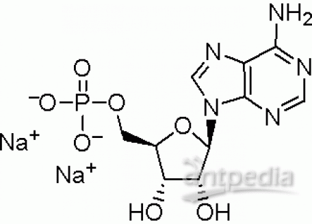 A800163-500g 腺苷-5