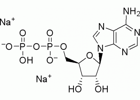 A800515-100g 腺苷-5