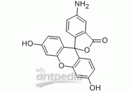 A800609-1g 5(6)-氨基荧光素,荧光级,>94%(HPLC)