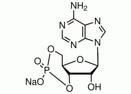 A801681-100mg 腺苷-3