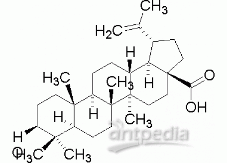 B801934-20mg 白桦脂酸,分析对照品