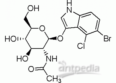 B802873-25mg 5-溴-4-氯-3-吲哚-N-乙酰-β-D-氨基葡萄糖苷,95%