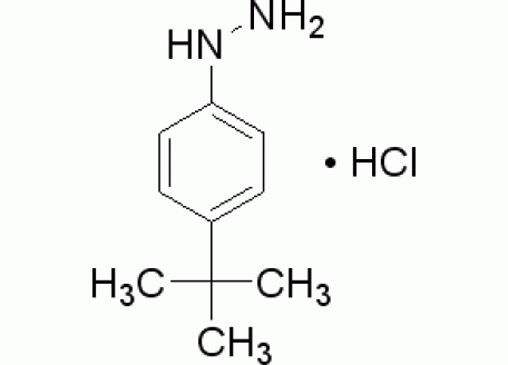 B818691-5g 4-叔丁基苯肼盐酸盐,95%