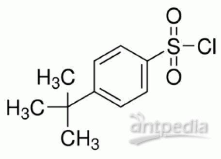B820256-25g 4-叔丁基苯磺酰氯,98%
