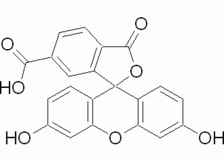 C804668-100mg 6-羧基荧光素,95%
