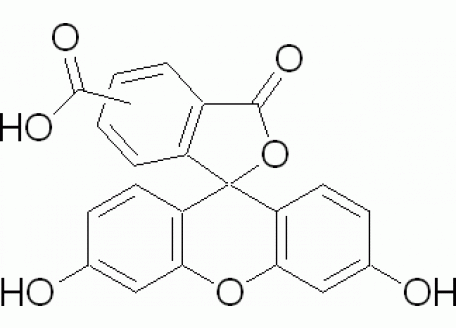 C804899-250mg 5(6)-羧基荧光素,≥95% (HPLC) ,5-和6-异构体混合物