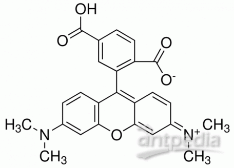 C805577-50mg 6-羧基四甲基罗丹明,for fluorescence,≥90%