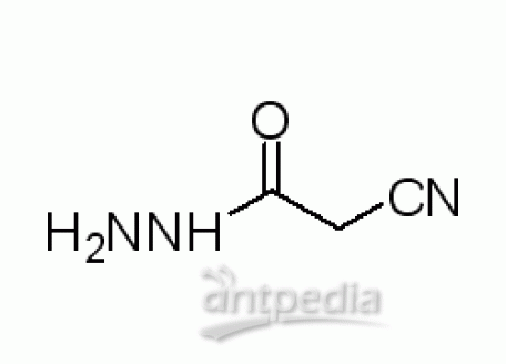 C805673-5g 氰基乙酰肼,98%