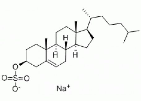 C838418-500mg 胆固醇璜酸钠,≥98%