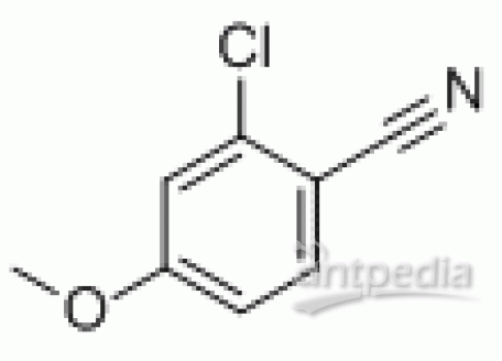 C840848-5g 2-氯-4-甲氧基苯腈,98%