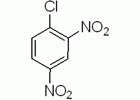 D807533-1.2ml 2,4-二硝基氯苯标准溶液,1000μg/ml,溶剂：甲醇