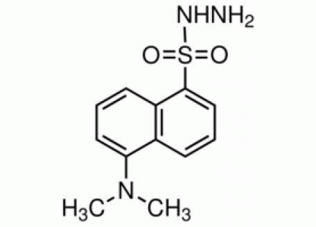 D808224-250mg 丹磺酰肼,≥95% (HPLC)