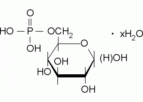 D810527-1g D-葡萄糖-6-磷酸,~1 M in H2O( 260 mg/ml)