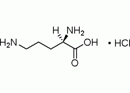 D815120-1g D-鸟氨酸盐酸盐,99%
