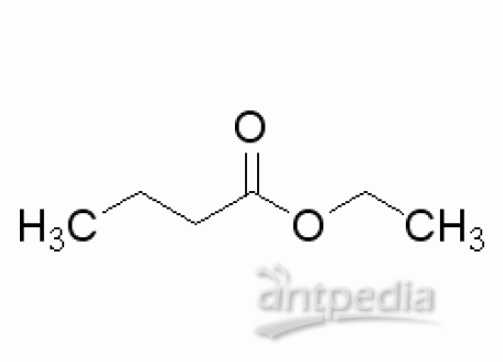 E808636-5ml 丁酸乙酯,Standard for GC,≥99.5%(GC)