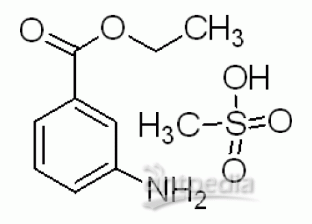 E808894-500g 3-乙氧酰基苯胺甲磺酸盐,98%