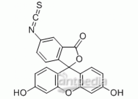 F6120-100mg 异硫氰酸荧光素,5-和6-异构体混合物 97%生物技术级