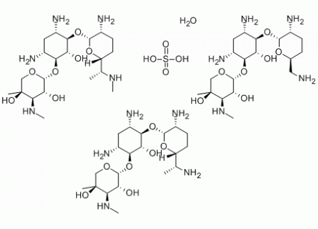 G6064-25g 硫酸庆大霉素,USP,生物技术级