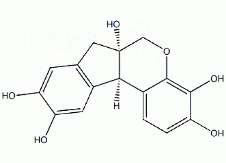 H6176-2g 苏木色素（苏木精）,生物技术级