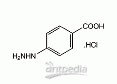 H810802-10g 4-羧基苯肼 盐酸盐,98%