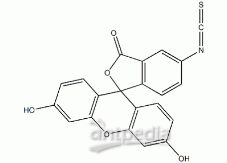 I6141-500mg 异硫氰酸荧光素酯,异构体I 生物技术级