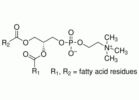 L812367-25g 卵磷脂,from soybean,>90%