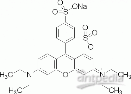 L812440-100g 磺酰罗丹明B,85%