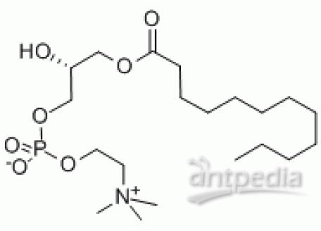 L832927-100mg L-A-溶血磷酰脂胆碱,>99%
