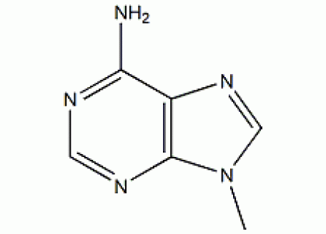 M838589-1g 9-甲基腺嘌呤,97%