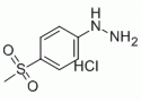 M844034-5g 4-(甲基磺酰基)苯肼盐酸盐,95%