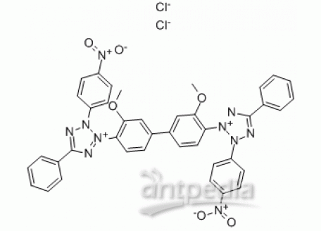 N6125-5g 氯化硝基四氮唑蓝,>98.0% 生物技术级