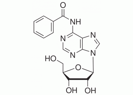 N803381-5g N6-苯甲酰基腺苷,98%