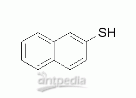 N814523-1g 2-萘硫酚,99%