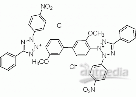 N814596-100g 氯化硝基四氮唑蓝,98%