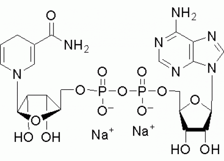 N814671-50mg 还原型辅酶I二钠盐,98%