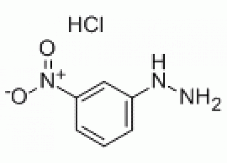 N814865-100g 3-硝基苯肼盐酸盐,97%