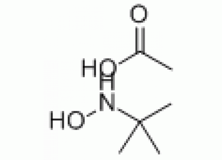 N844522-250mg N-叔丁基羟胺醋酸盐,95%