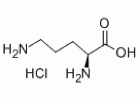 O6136-25g L-鸟氨酸盐酸盐,99%生物技术级
